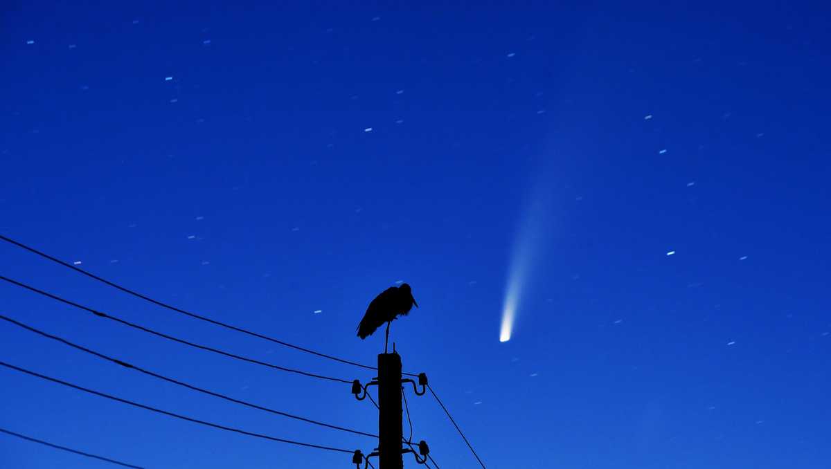 These stunning pictures captured Comet Neowise soaring through the sky ...