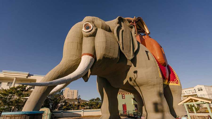 Lucy the Elephant, a Margate, New Jersey roadside attraction, is opening its doors for three nights to couples on Airbnb.
