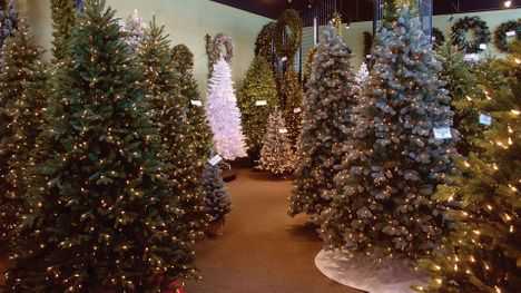 Prices are soaring for Christmas trees and decorations - Vimarsana News