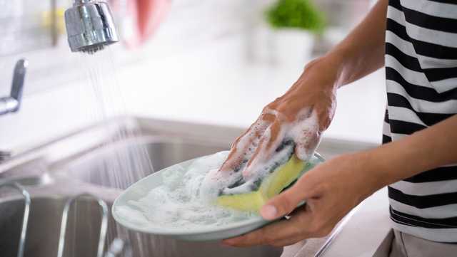 Researchers say sponges may not be the most hygienic way to clean dishes. Here are some alternatives - Vimarsana News