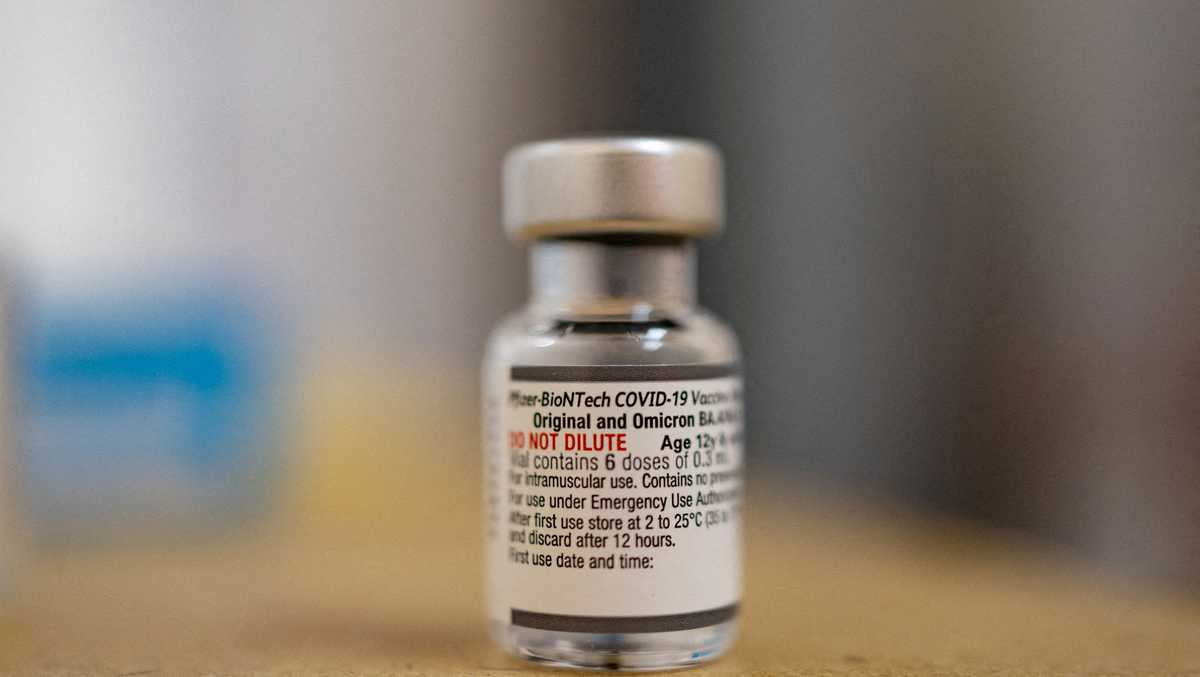 CDC detects possible increase in stroke in those 65 and older who received Pfizer COVID booster shot – WXII12 Winston-Salem CDC detects possible increase in stroke in those 65 and older who received Pfizer COVID booster shot – WXII12 Winston-Salem