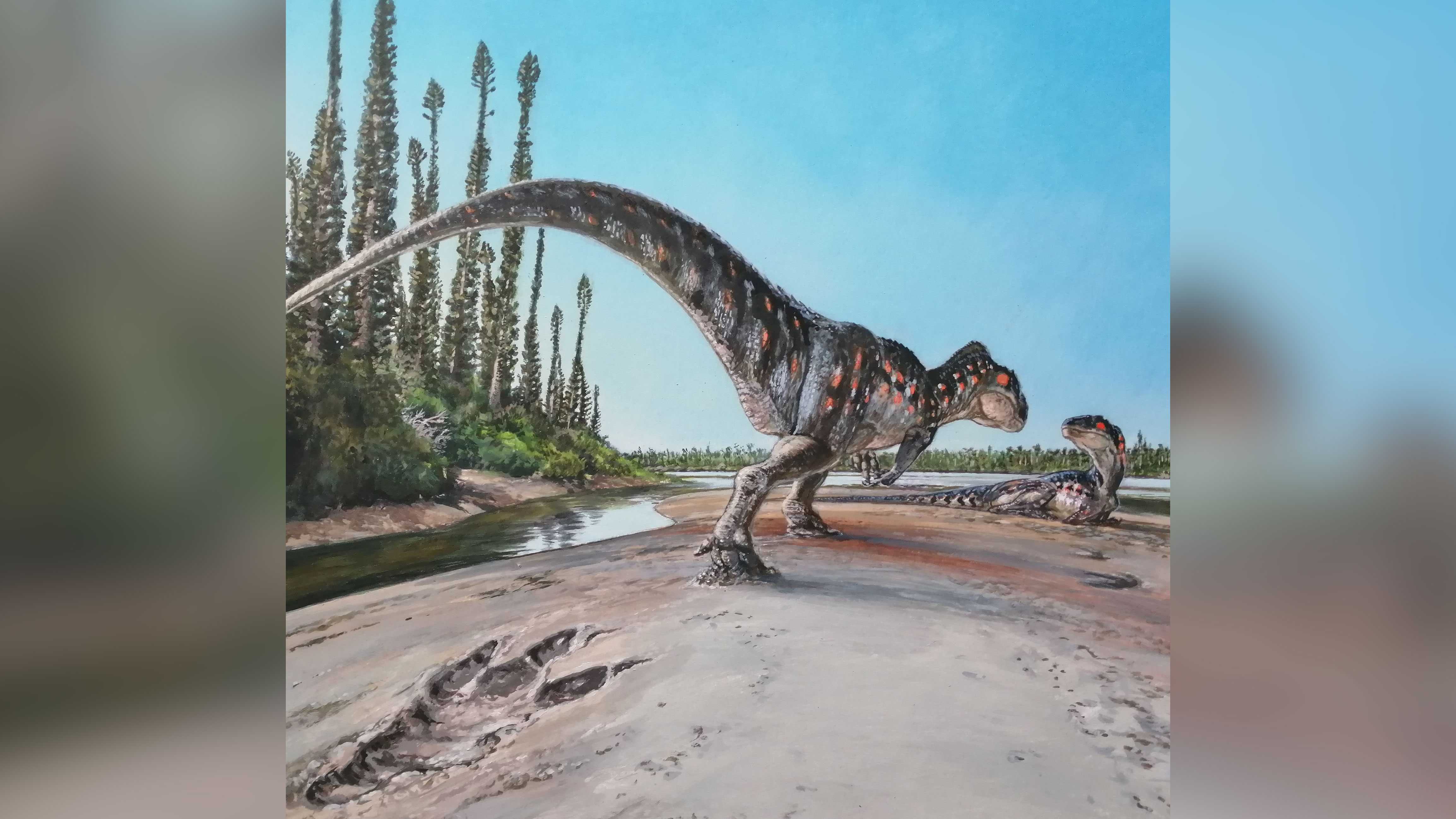 Giant footprint reveals the carnivorous dinosaurs that once stalked UK coast - Vimarsana News