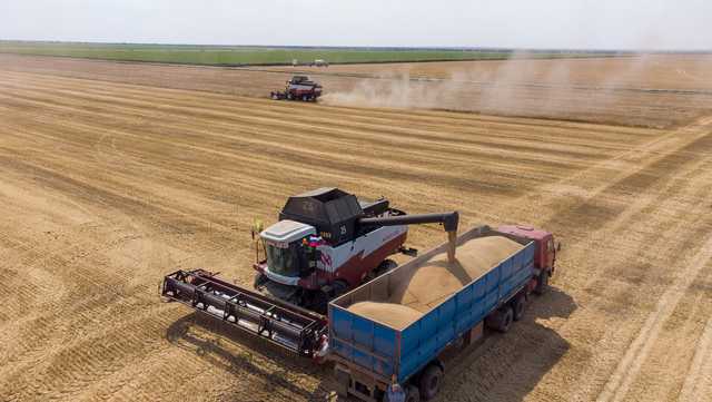 China lifts restrictions on Russian wheat imports - Vimarsana News
