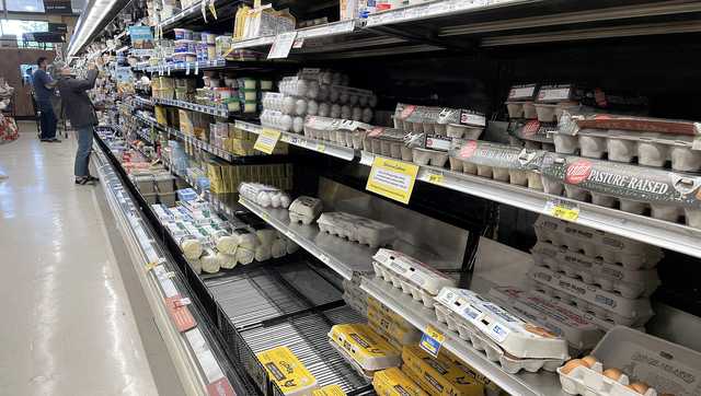 Here's why egg prices are crashing. - Vimarsana News