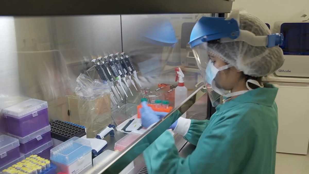 Scientists Isolate Antibodies From Vaccinated Blood as Potential Measles Treatment