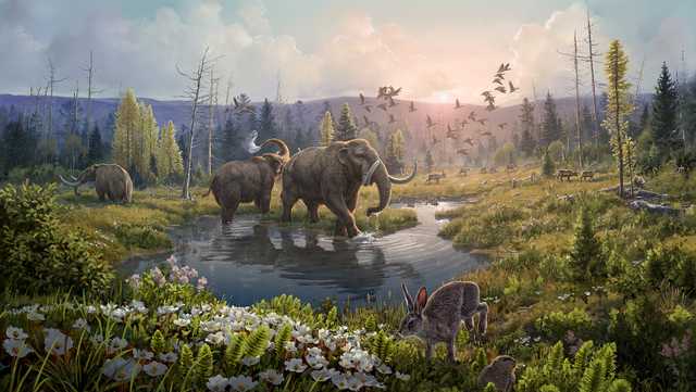 Oldest DNA sheds light on a 2 million-year-old ecosystem that has no modern parallel - Vimarsana News
