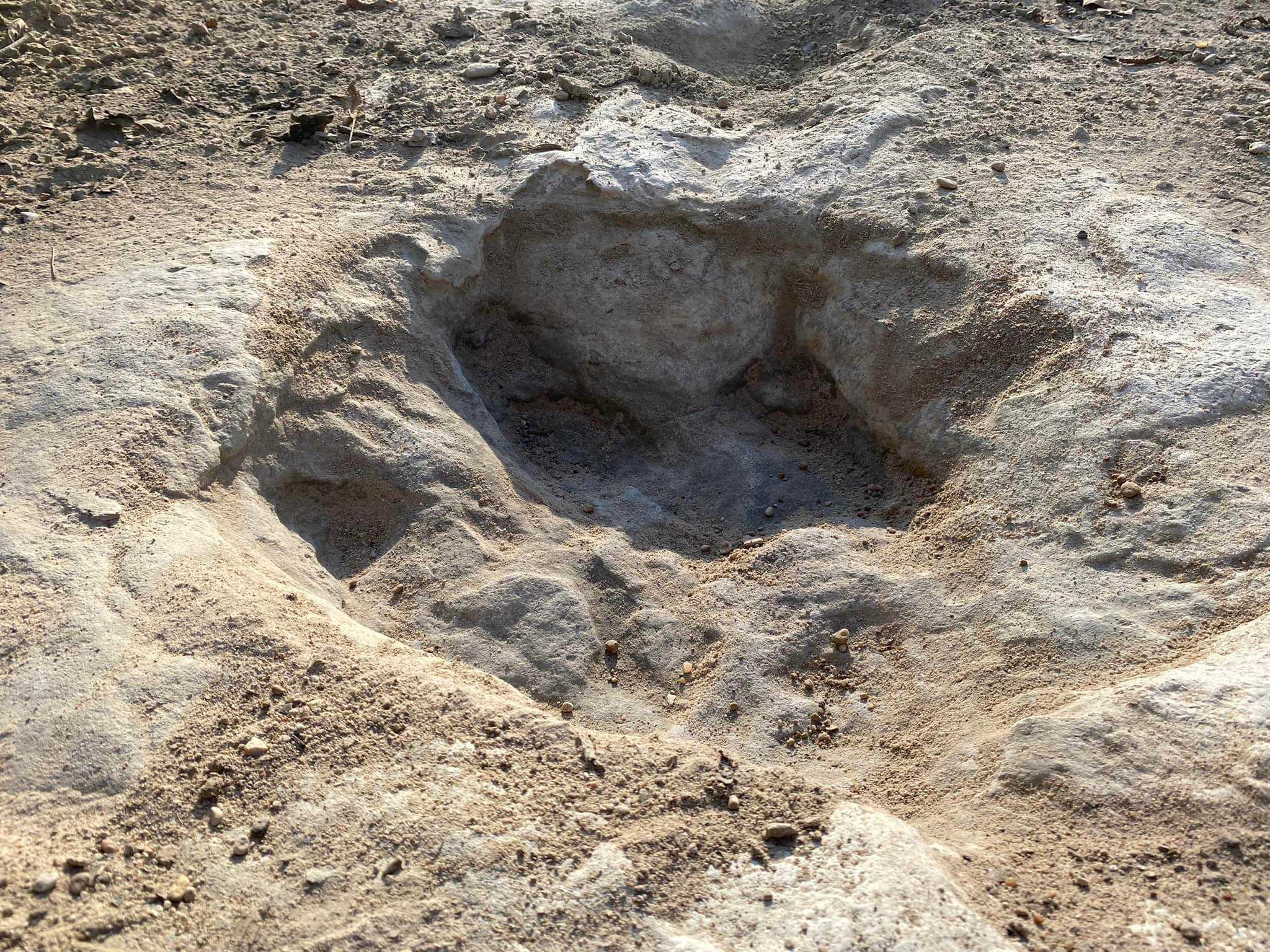 Dinosaur tracks from 113 million years ago uncovered