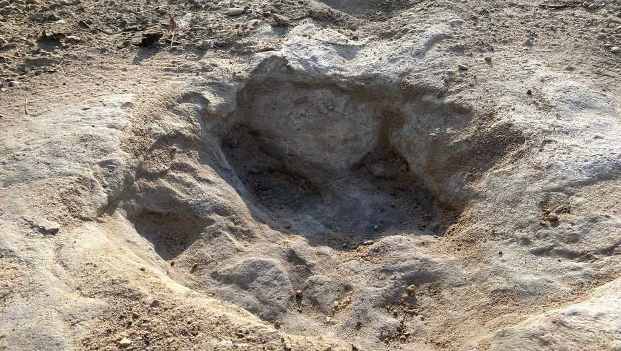 Tracks of a 60-foot dinosaur have been discovered at Dinosaur Valley State Park in Texas due to excessive drought conditions this past summer, according to Texas Parks and Wildlife Department Press Office.