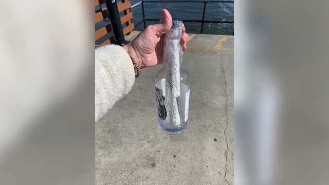 A message in a bottle traveled more than 4,000 miles in 2 years - Vimarsana News