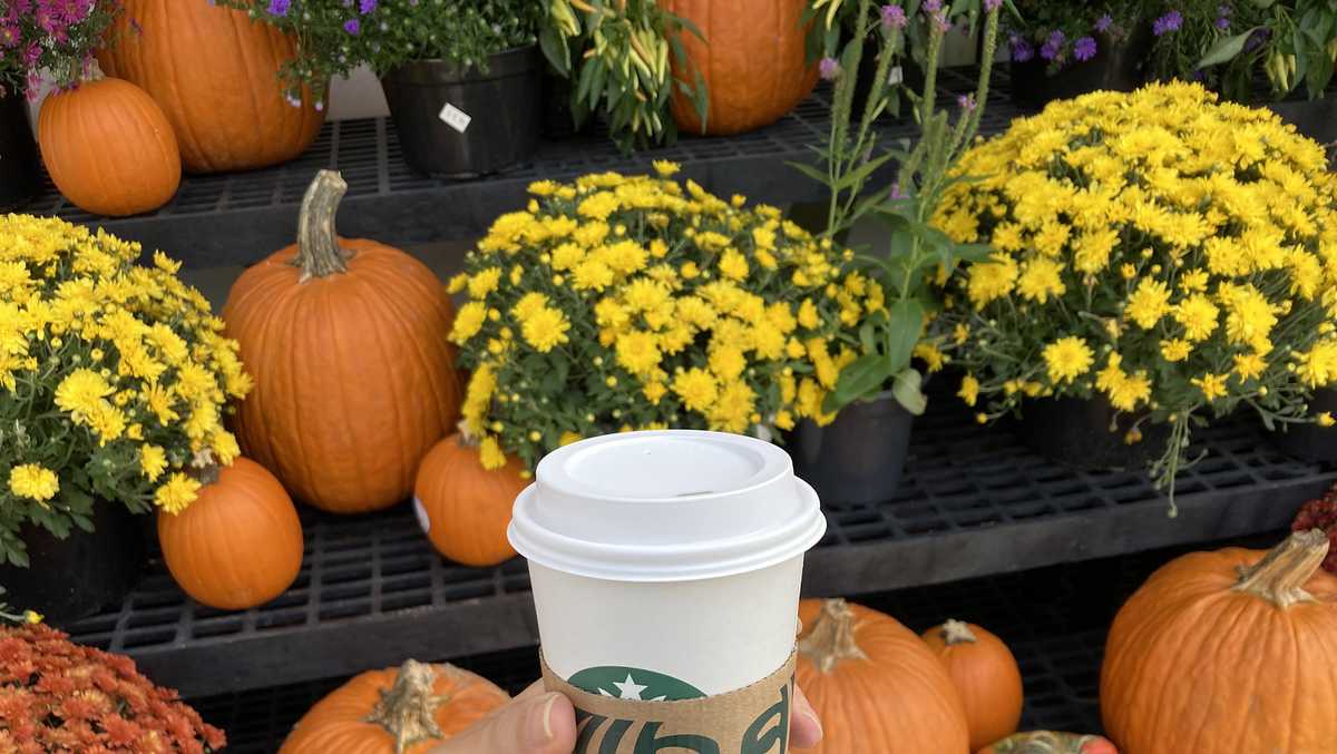 Starbucks' Pumpkin Spice Latte is coming back at a higher price