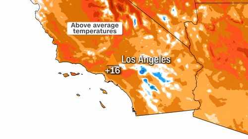 2022 Super Bowl Weather Report: Does SoFi Stadium Have a Dome or Roof? Plus  L.A. Forecast For Sunday