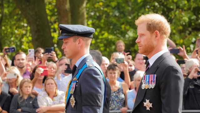 Why Princes Harry and Andrew aren't wearing military uniforms to the Queen's funeral processions - Vimarsana News
