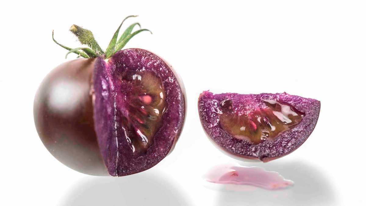 A new genetically modified purple tomato could be hitting grocery stores