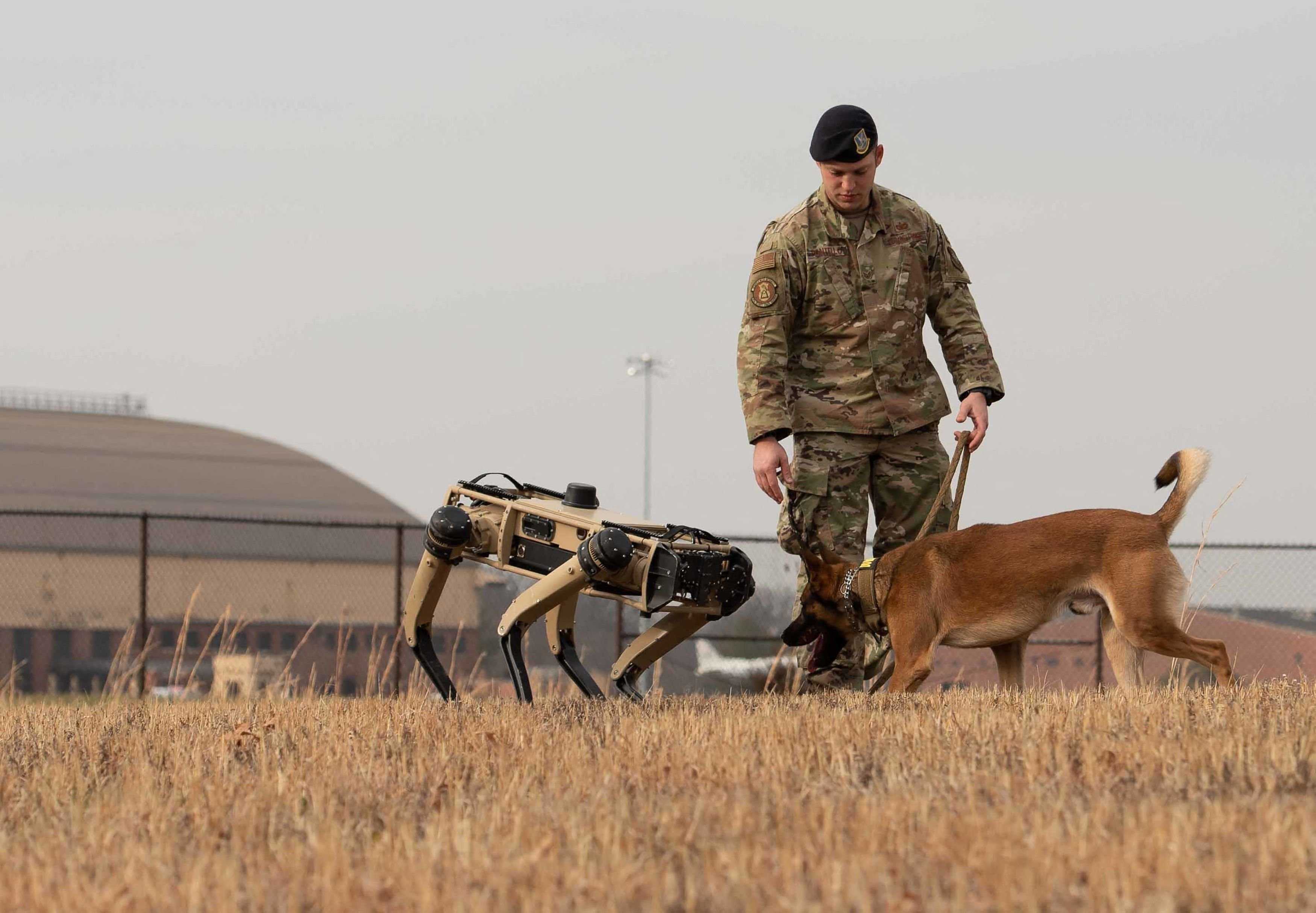 Ghost Robotics: US military may get armed dog-like robot with