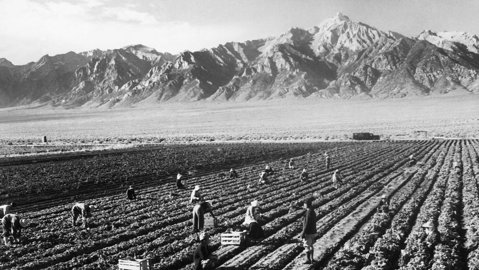 San Diego apologizes for supporting Japanese incarceration during World War II - Vimarsana News