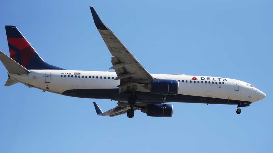 File photo: Delta Air Lines plane lands at Los Angeles International Airport