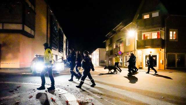 5 killed in suspected bow and arrow attack in Norway - Vimarsana News