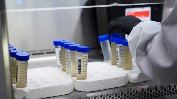 Coronavirus wastewater data and CDC guidelines can give mixed signals on whether to mask.