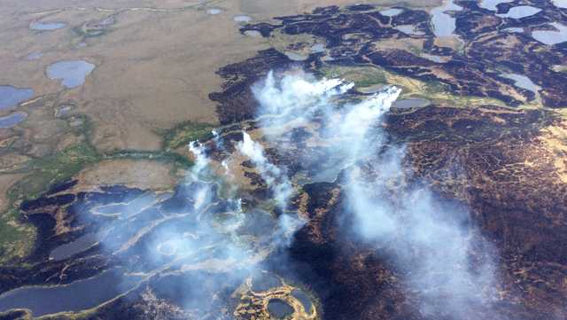 'Zombie fires' could become more widespread as the climate warms, report warns - Vimarsana News