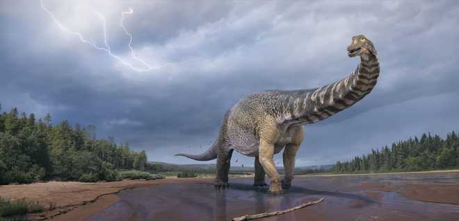 An artist's impression of Australotitan cooperensis, the largest known dinosaur discovered in Australia.