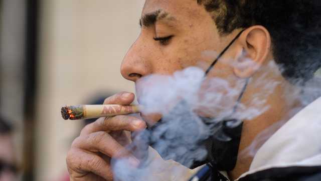 Daily use of marijuana raises risk of heart disease, study finds - Vimarsana News