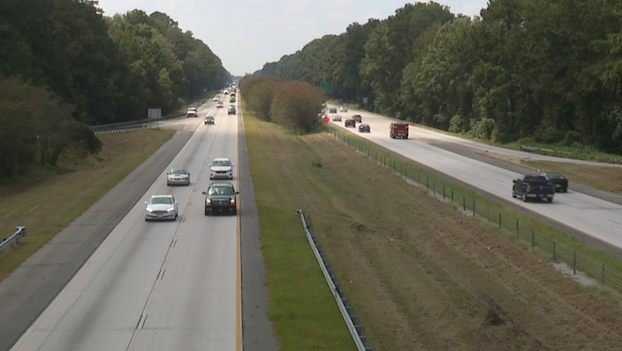 Deputies: Man shoots dog, then himself along I-95 in Coastal Georgia