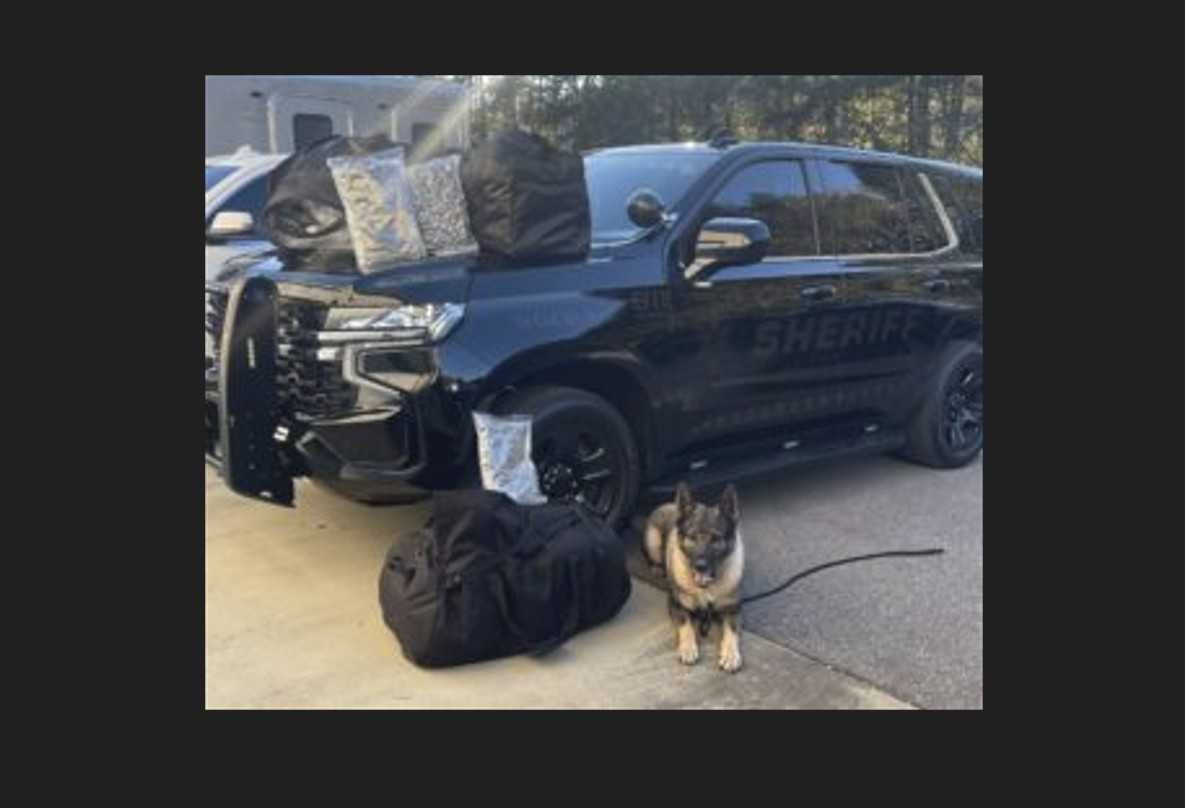 NARCOTICS AGENT　警察　取締　 黒 レザー Traffic stop leads to discovery of 50 pounds of cannabis on I-22