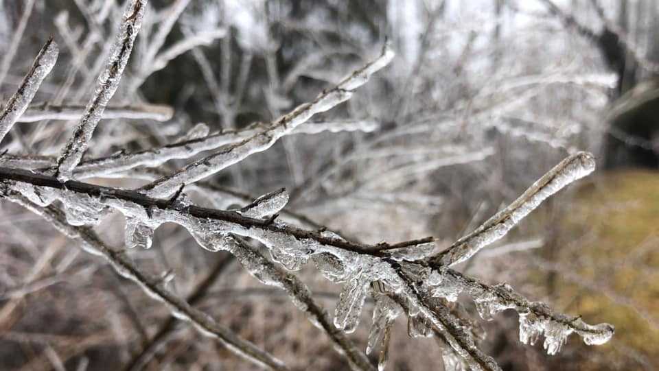 Ice accumulation reported in parts of North Carolina, some areas of Upstate