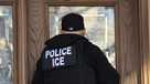 U.S. Immigration and Customs Enforcement (ICE), officers arrive to a Flatbush Gardens home in search of an undocumented immigrant on April 11, 2018 in the Brooklyn borough of New York City. 