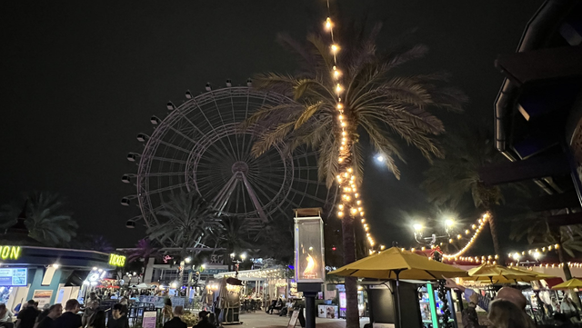 Florida Ferris wheel riders recount being stuck on ICON Park ride - Vimarsana News