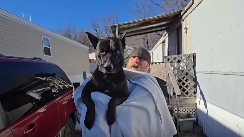 'Thank you so much, brother': Firefighters save dog from frozen pond
