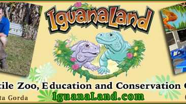Educational fun at Iguanaland in Punta Gorda