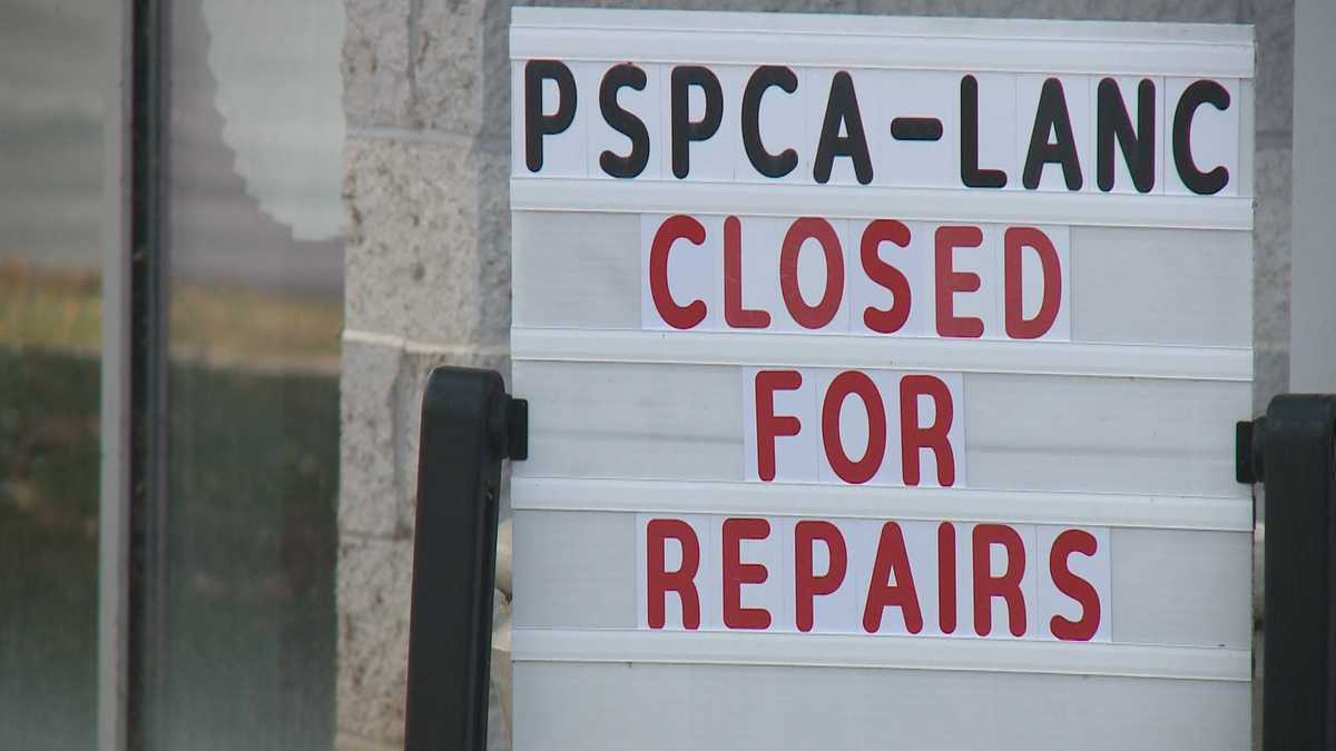 HVAC breakdown forces Lancaster SPCA to temporarily shut doors