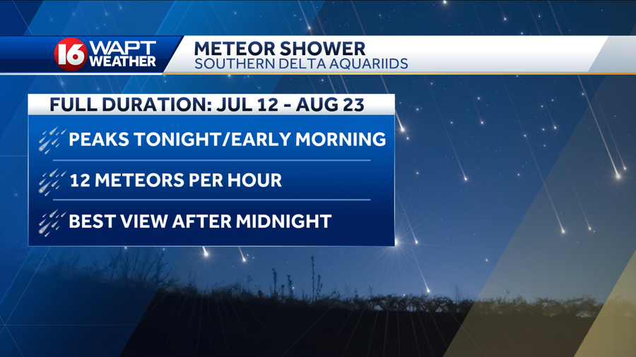 Eyes in the sky for the Southern Delta Aquariids Meteor Shower