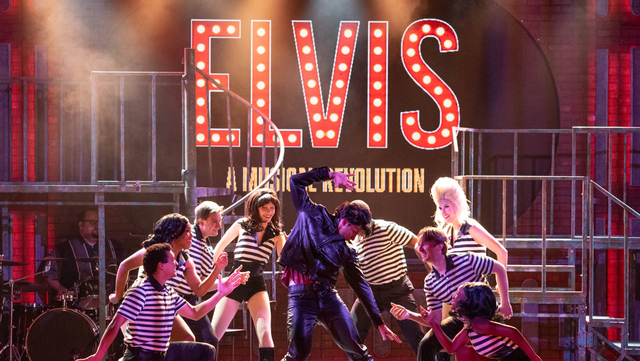 Dave's 2's Review of: "Elvis A Musical Revolution" - Vimarsana News
