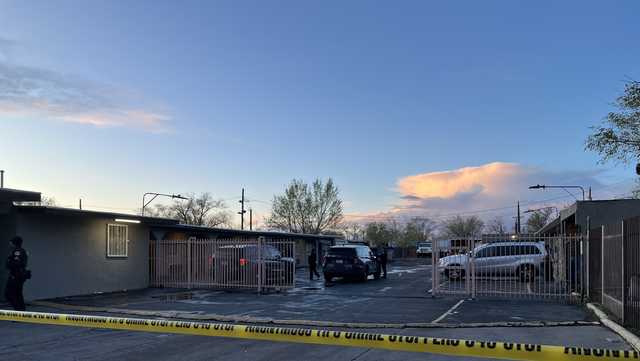 Murder investigation on Central Avenue