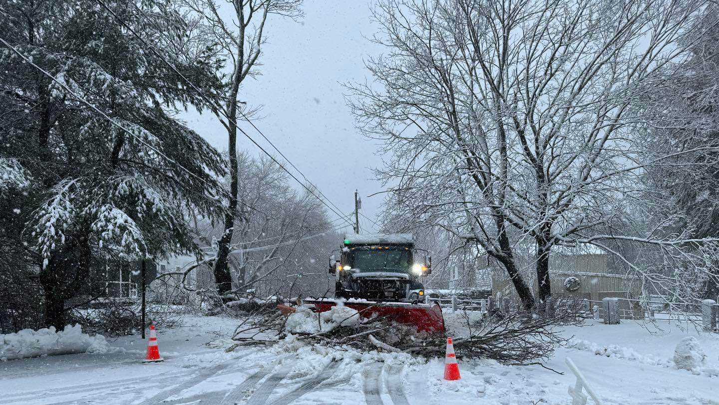 Roads close across Maine as Nor'easter knocks down trees, powerlines - Vimarsana News