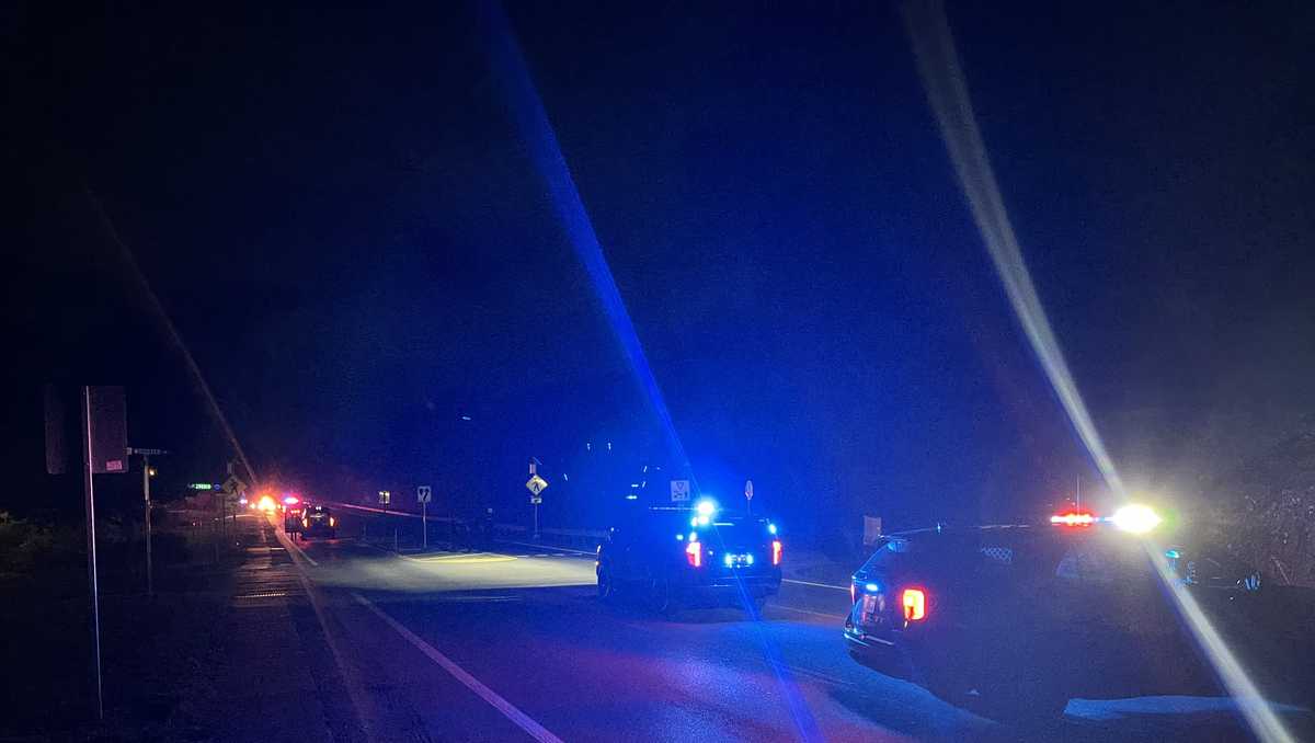 Coroner IDs man killed in Columbia Township car fire
