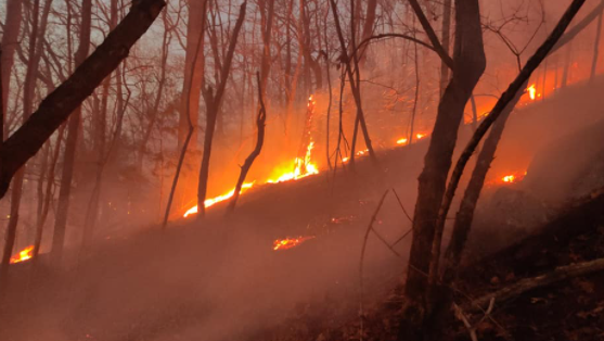 Brush fire near Hwy 31 in Pelham