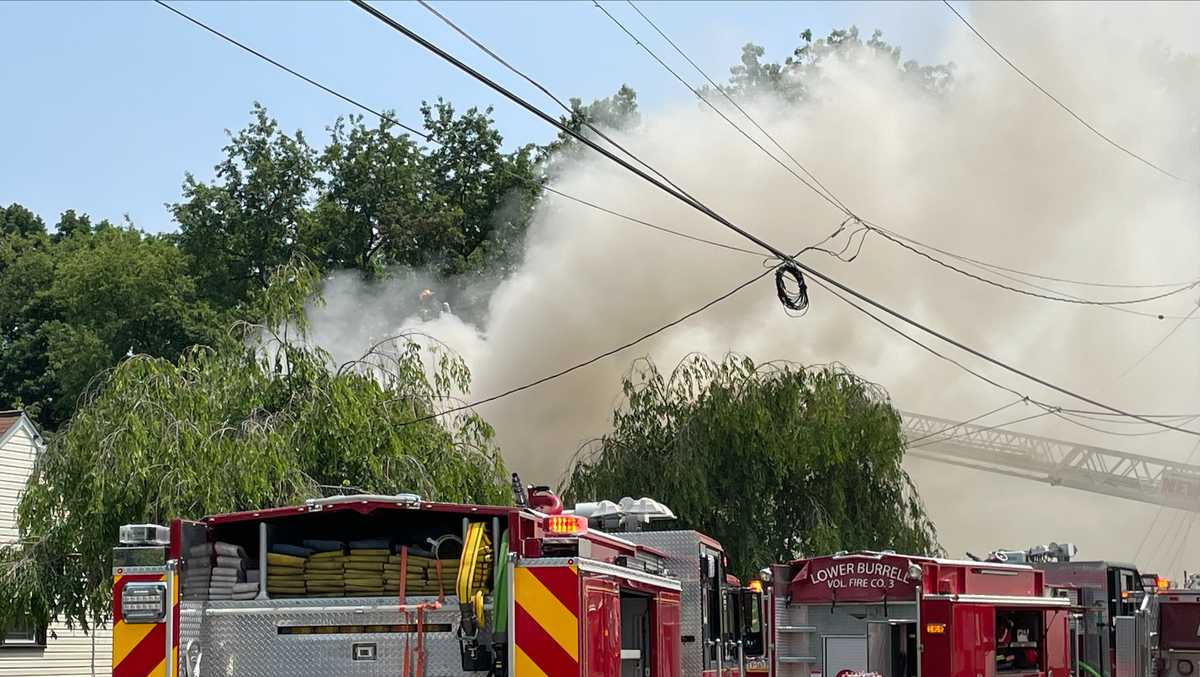 Lower Burrell Home gutted by flames