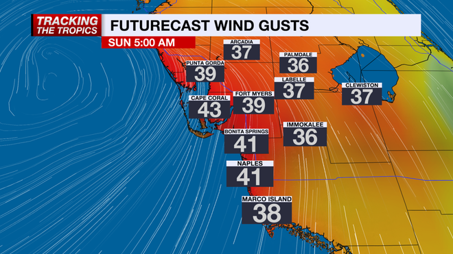 Potential Tropical Cyclone Four, Futurecast Wind Gusts