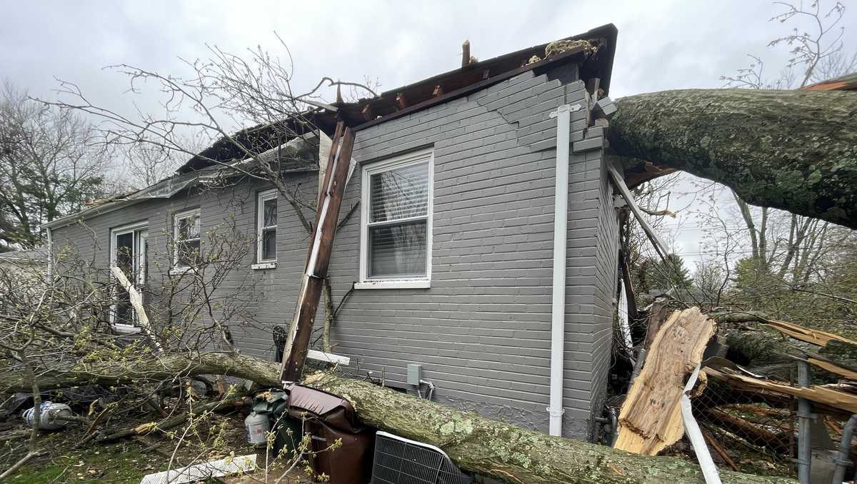 Woman survives after tree falls on house during severe storms