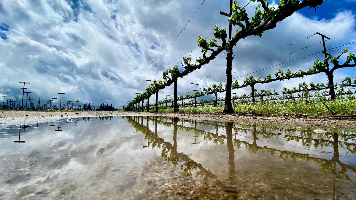 San Joaquin Valley farmers spring rain