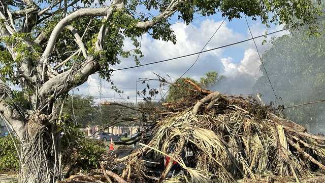 Florida officials conduct emergency preparedness training to tackle storm damage - Vimarsana News