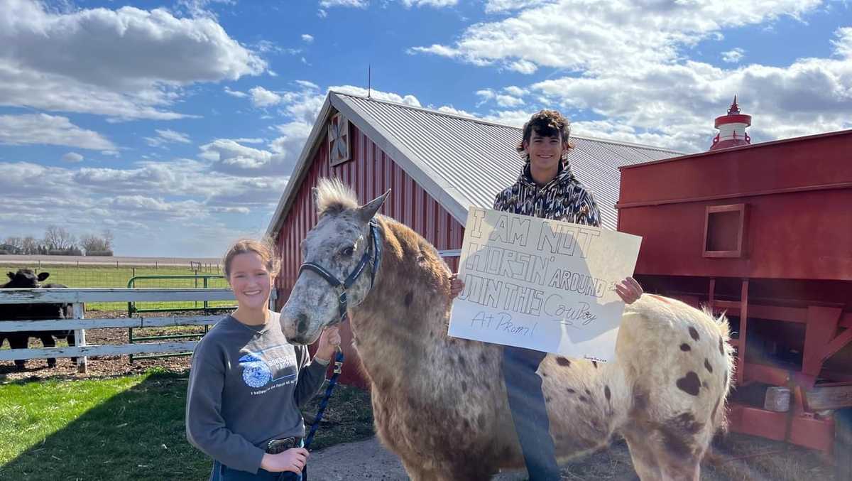 What Animal Did This Iowa Hs Senior Use In His Promposal? A Horse, Of 