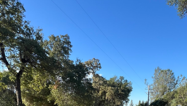 Road closure due to downed power line pole in Nevada County