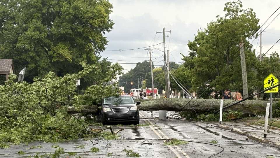 No one injured after tree falls on car in College Hill following storms