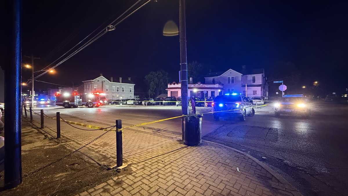 Woman dies after being hit by vehicle while crossing road, suspect flees