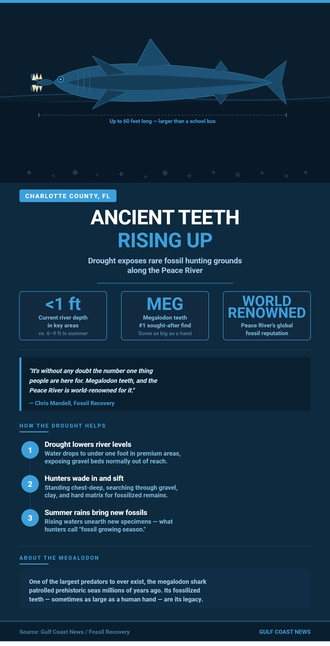 Ancient teeth rising up.