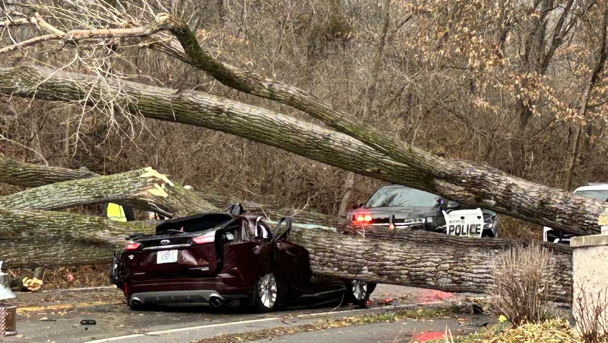 Blue Springs: Massive tree falls on occupied vehicle during storm